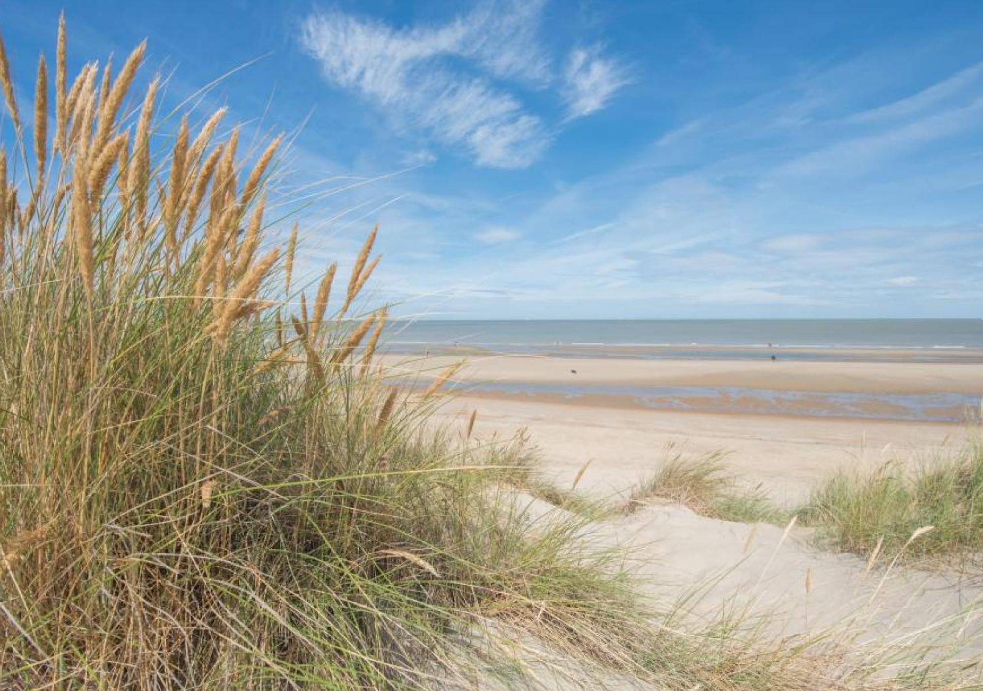Salty - Vakantiehuisje Op De Grens Van Bredene-De Haan Zewnętrze zdjęcie